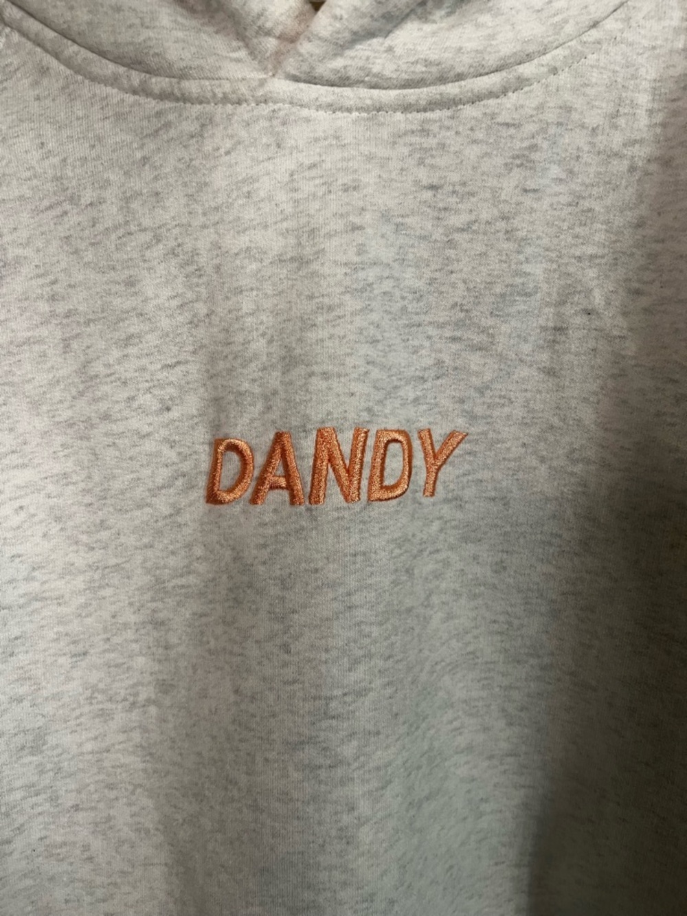 Dandy Worldwide Lets Watch The Sunset Gray Pullover  Hoodie L  *FLAWS* - Picture 6 of 10